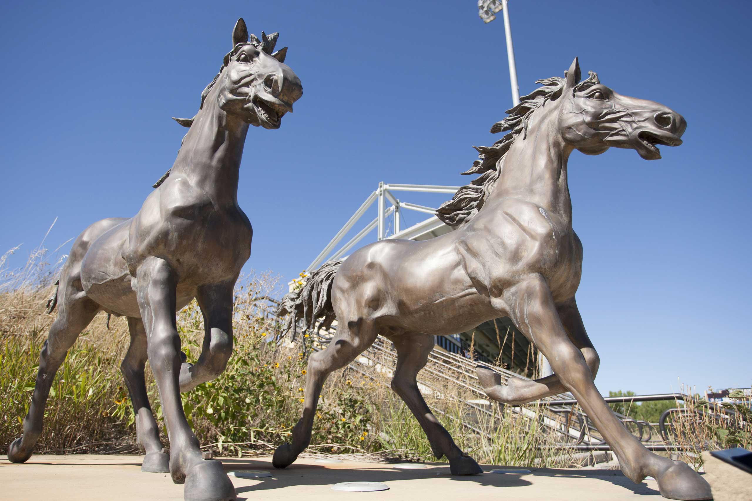 SMSU to get $1.2M from State Bonding Bill Featured Image