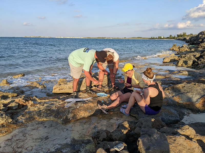 Ecology students researching on shore