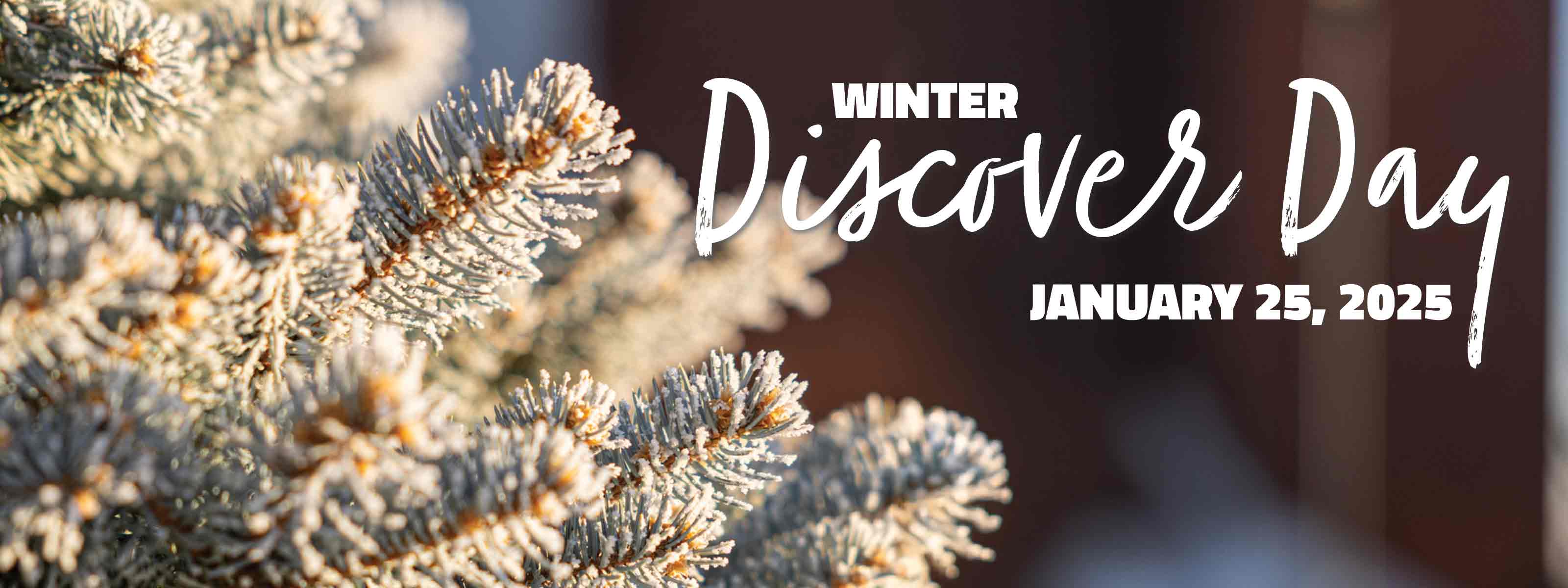 winter discovery day january 25 2025